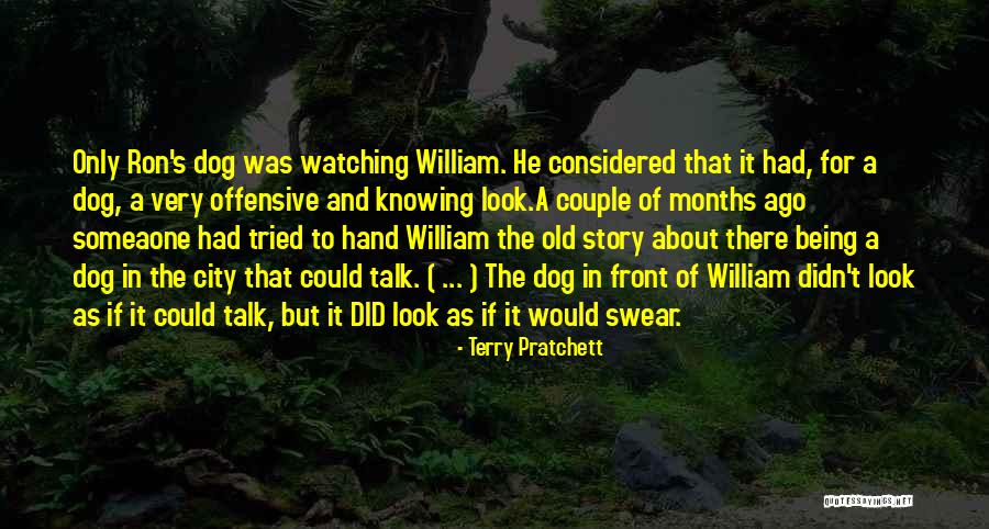 Cs Lewis Narnia Aslan Quotes By Terry Pratchett Cs Lewis Narnia Aslan Quotes By Terry Pratchett