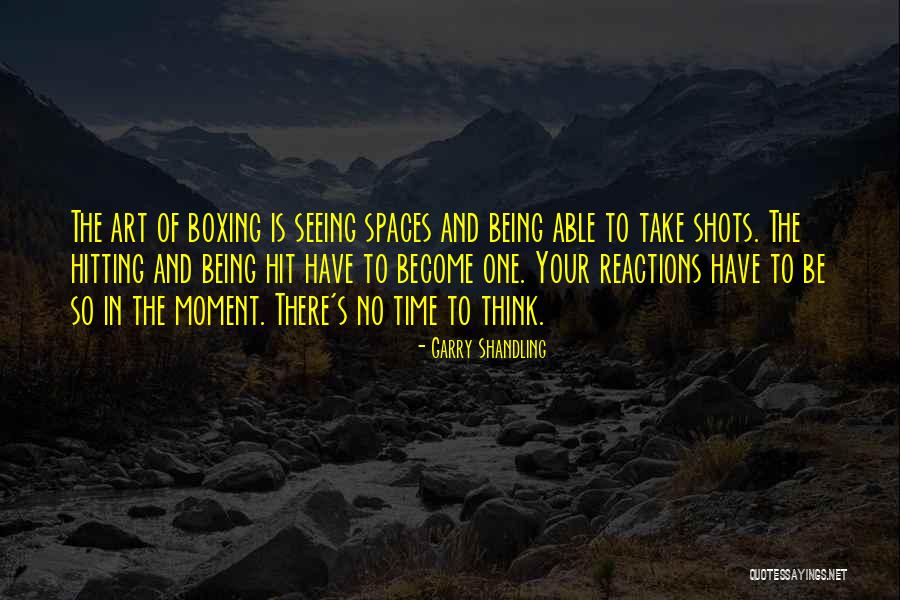 Cs Lewis Shadowlands Quotes By Garry Shandling Cs Lewis Shadowlands Quotes By Garry Shandling