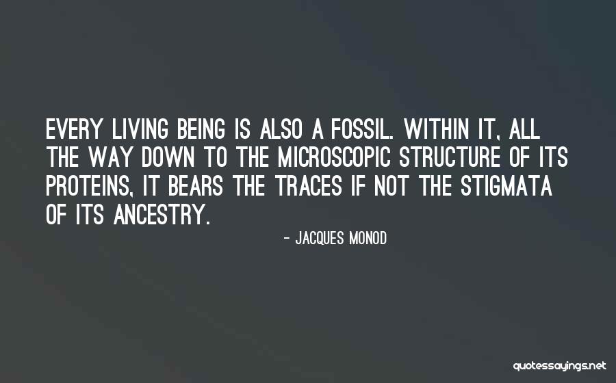 Cse Technical Quotes By Jacques Monod Cse Technical Quotes By Jacques Monod