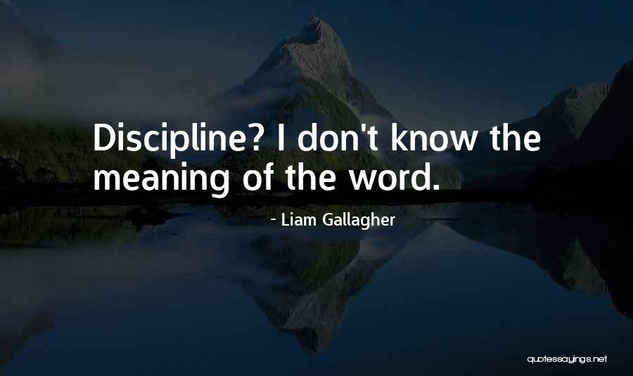 Cseke L Szl Quotes By Liam Gallagher Cseke L Szl Quotes By Liam Gallagher