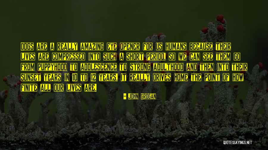 Csepregi Eva Quotes By John Grogan Csepregi Eva Quotes By John Grogan