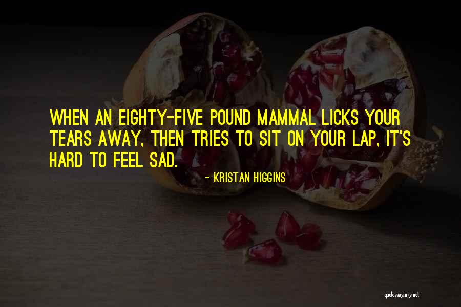 Csibe K Pek Quotes By Kristan Higgins Csibe K Pek Quotes By Kristan Higgins