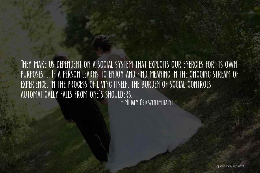 Csikszentmihalyi Flow Quotes By Mihaly Csikszentmihalyi Csikszentmihalyi Flow Quotes By Mihaly Csikszentmihalyi