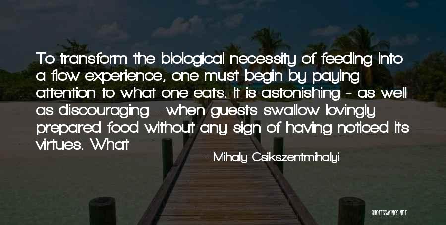 Csikszentmihalyi Flow Quotes By Mihaly Csikszentmihalyi Csikszentmihalyi Flow Quotes By Mihaly Csikszentmihalyi