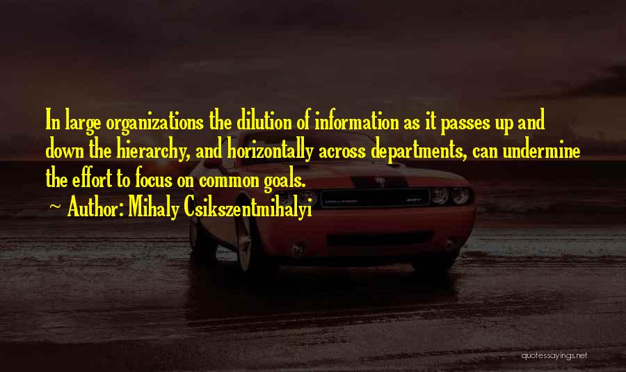 Csikszentmihalyi Quotes By Mihaly Csikszentmihalyi