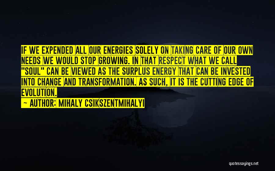 Csikszentmihalyi Quotes By Mihaly Csikszentmihalyi