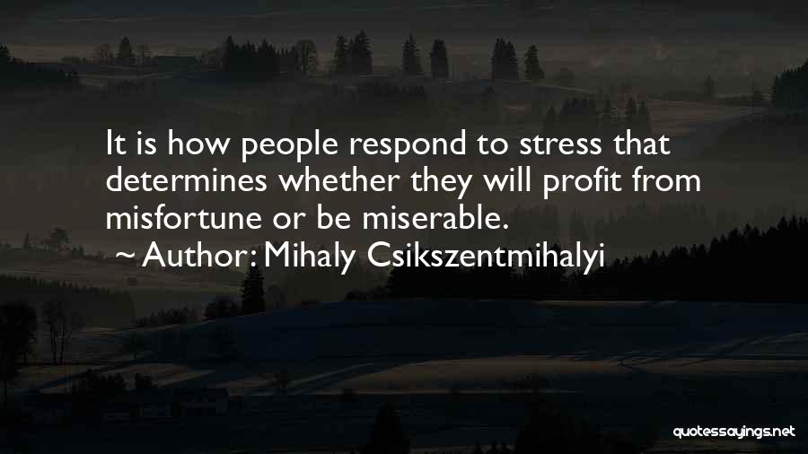 Csikszentmihalyi Quotes By Mihaly Csikszentmihalyi