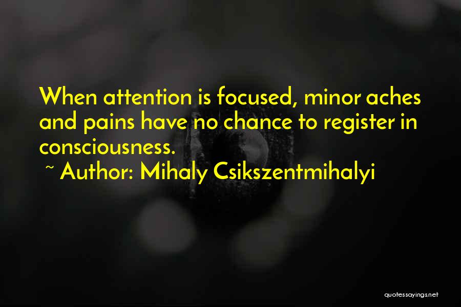 Csikszentmihalyi Quotes By Mihaly Csikszentmihalyi