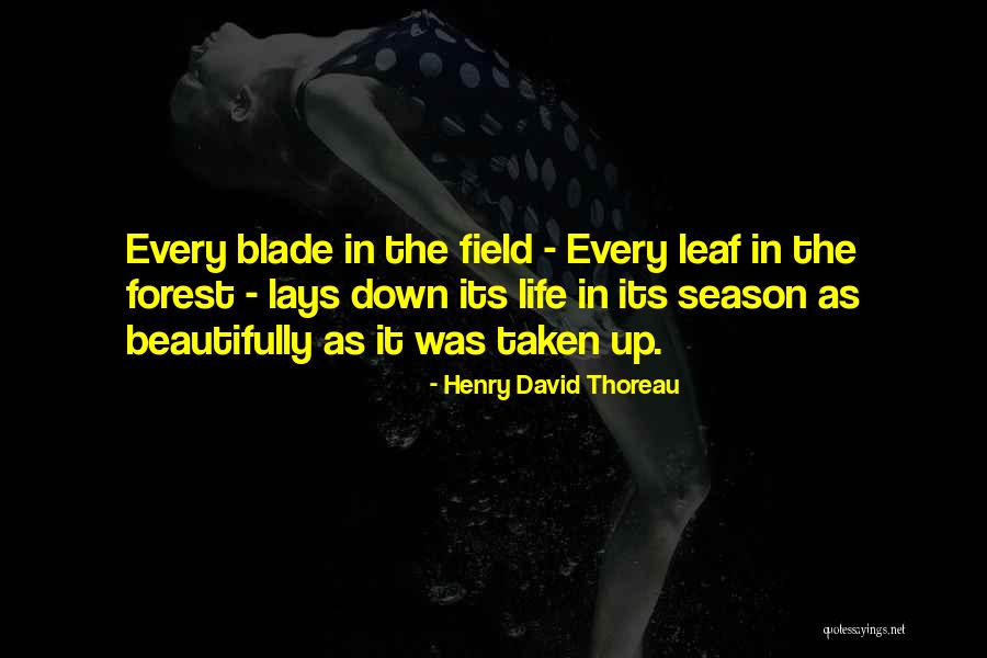 Cst Document Quotes By Henry David Thoreau Cst Document Quotes By Henry David Thoreau