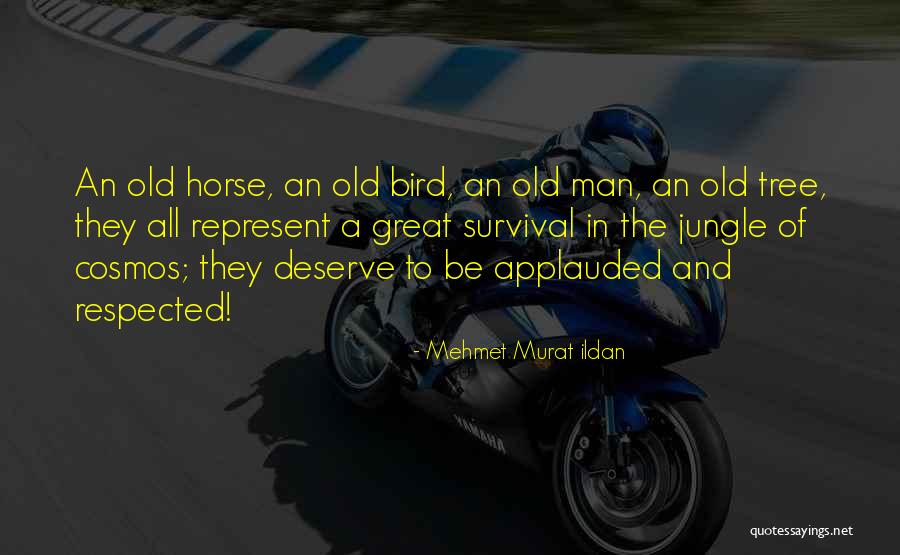 Csv File Add Quotes By Mehmet Murat Ildan Csv File Add Quotes By Mehmet Murat Ildan