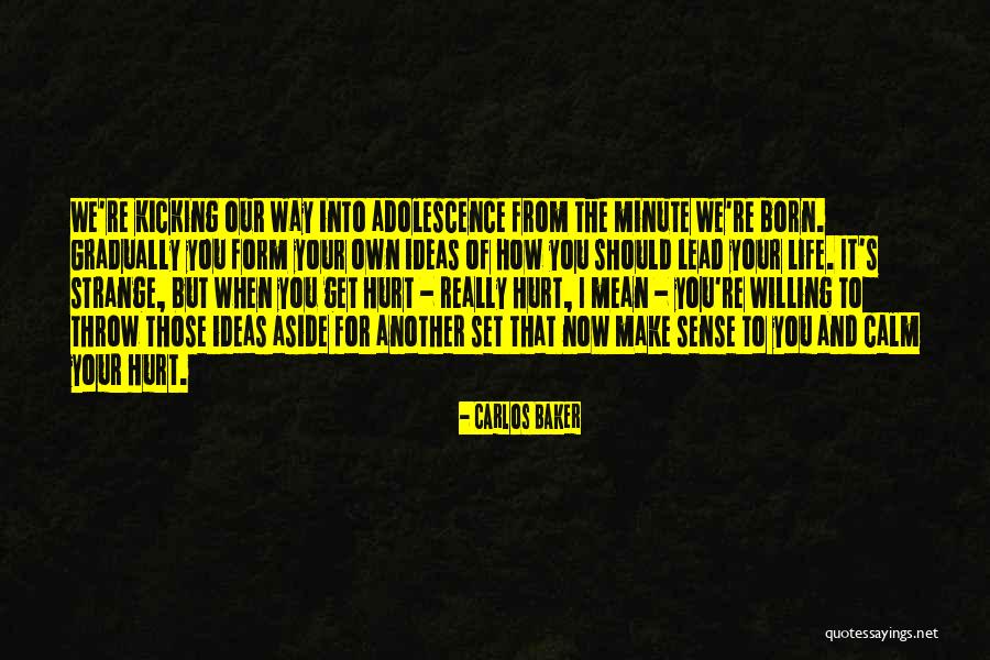 Csv Parser Quotes By Carlos Baker Csv Parser Quotes By Carlos Baker