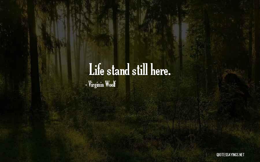 Ctdigs Quotes By Virginia Woolf Ctdigs Quotes By Virginia Woolf