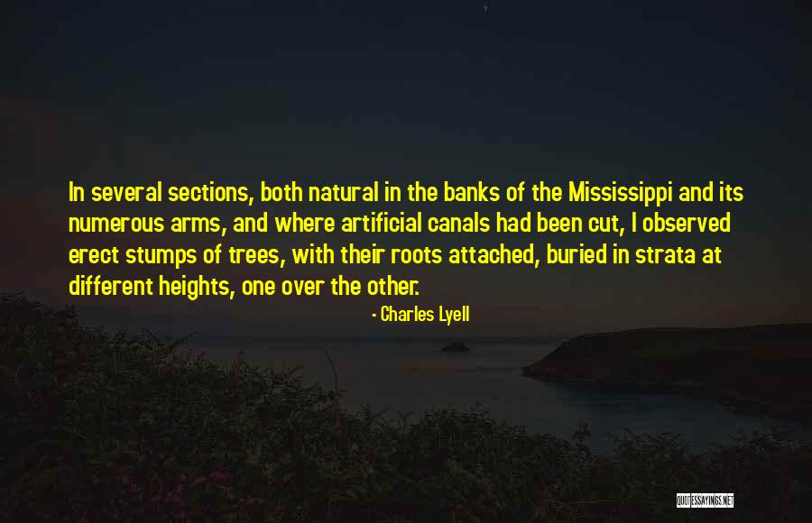 Ctr Pinstripe Quotes By Charles Lyell Ctr Pinstripe Quotes By Charles Lyell
