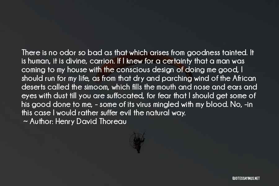 Cuaresma Definicion Quotes By Henry David Thoreau