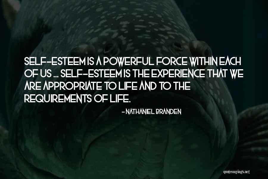 Cubbies Quotes By Nathaniel Branden Cubbies Quotes By Nathaniel Branden