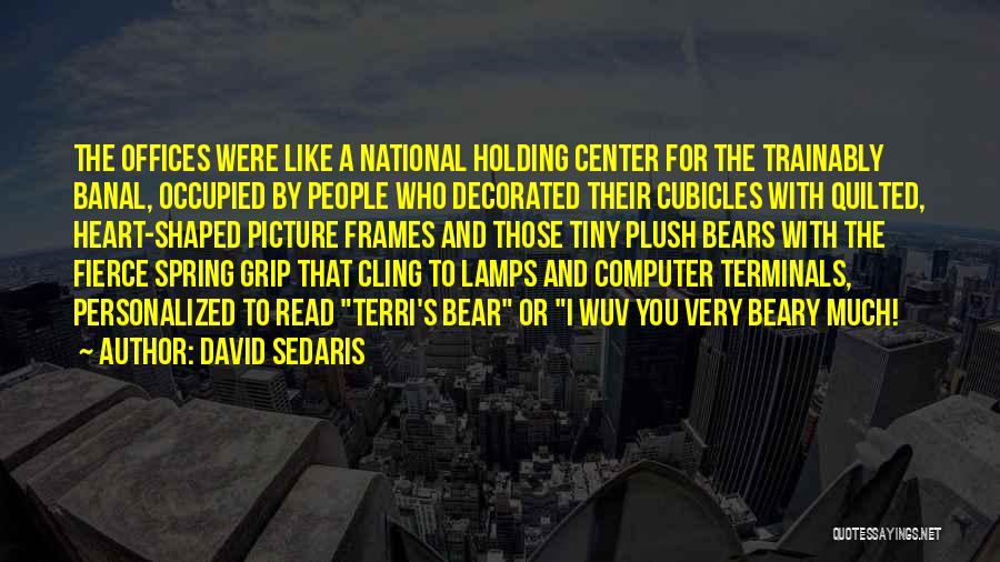 Cubicles Quotes By David Sedaris