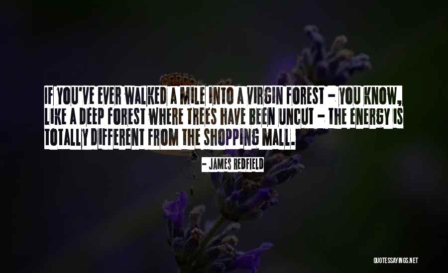 Cubillo Castle Quotes By James Redfield Cubillo Castle Quotes By James Redfield