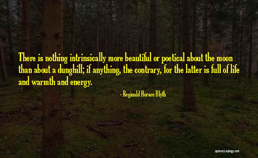Cucurella Objectives Quotes By Reginald Horace Blyth Cucurella Objectives Quotes By Reginald Horace Blyth