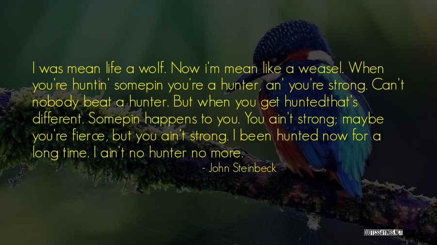 Cuddle Buddies For Hire Quotes By John Steinbeck Cuddle Buddies For Hire Quotes By John Steinbeck