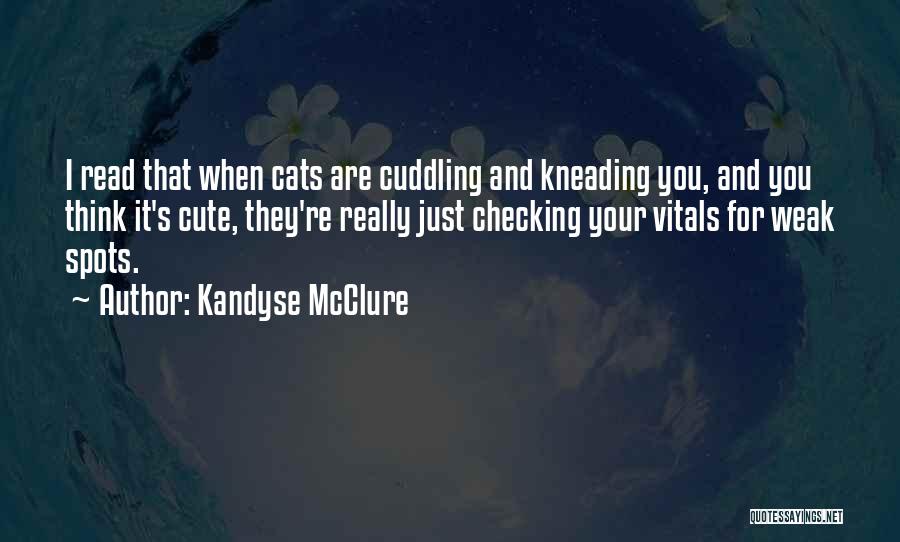 Cuddling With Him Quotes By Kandyse McClure