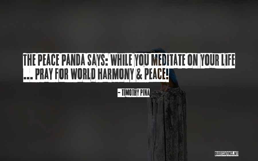 Cuentas De Pasivo Quotes By Timothy Pina Cuentas De Pasivo Quotes By Timothy Pina