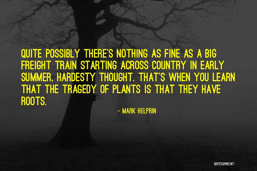 Cuestas Beach Quotes By Mark Helprin