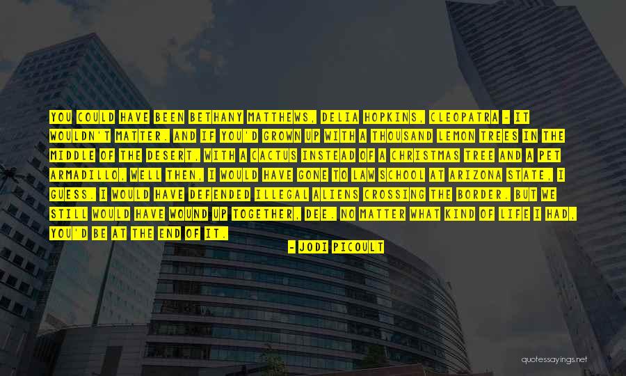 Cuidense Quotes By Jodi Picoult Cuidense Quotes By Jodi Picoult