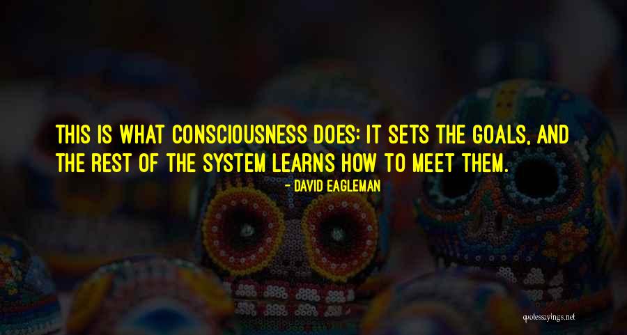 Cuisinecide Quotes By David Eagleman Cuisinecide Quotes By David Eagleman
