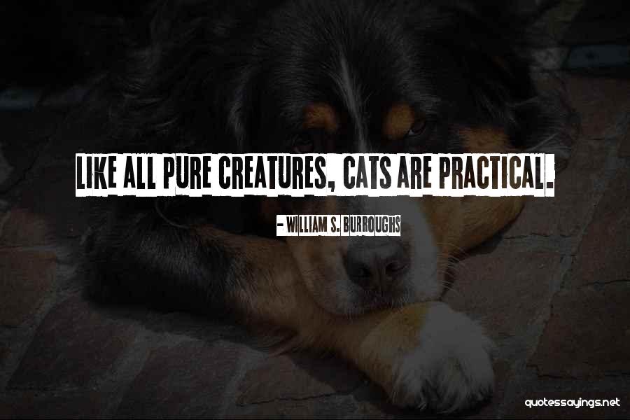 Cuisinier Rebelle Quotes By William S. Burroughs Cuisinier Rebelle Quotes By William S. Burroughs