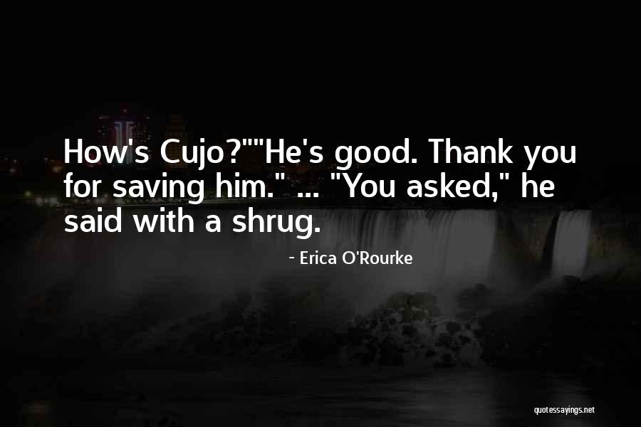 Cujo Quotes By Erica O'Rourke