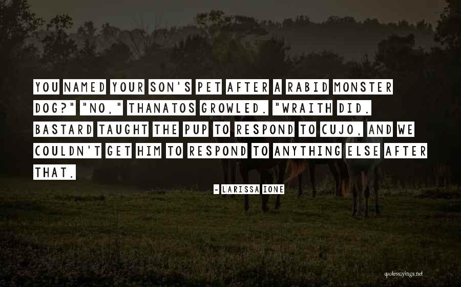Cujo Quotes By Larissa Ione Cujo Quotes By Larissa Ione