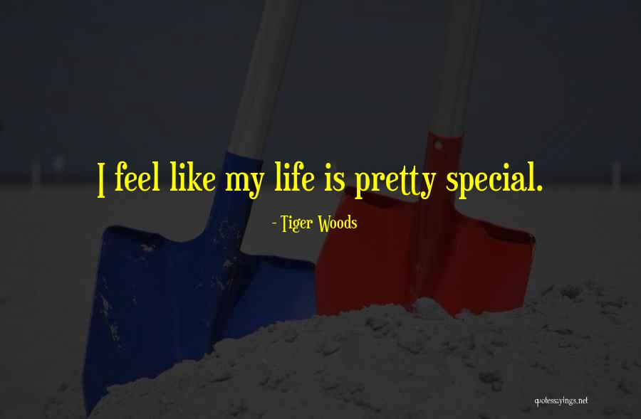 Cukur 2 Quotes By Tiger Woods
