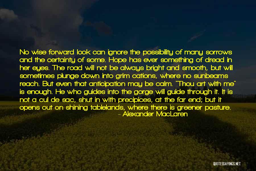 Cul De Sac Quotes By Alexander MacLaren Cul De Sac Quotes By Alexander MacLaren