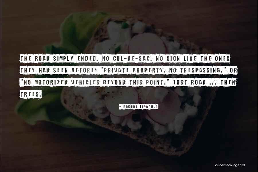 Cul De Sac Quotes By Robert Liparulo Cul De Sac Quotes By Robert Liparulo