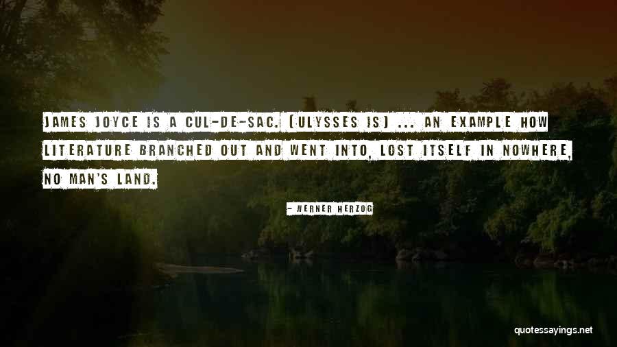 Cul De Sac Quotes By Werner Herzog