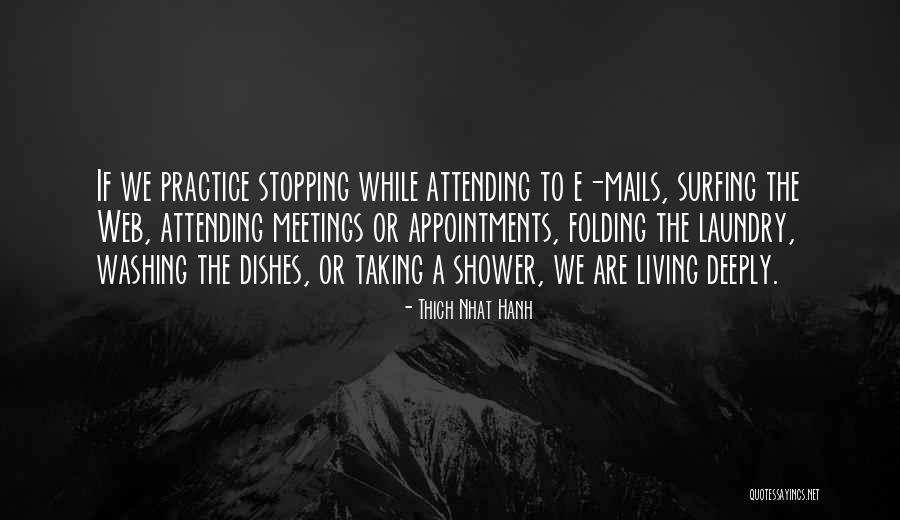 Cullers Fries Quotes By Thich Nhat Hanh Cullers Fries Quotes By Thich Nhat Hanh