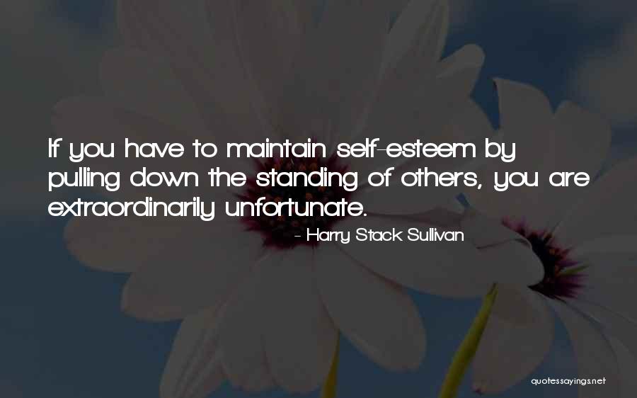 Cullmann Primax Quotes By Harry Stack Sullivan Cullmann Primax Quotes By Harry Stack Sullivan
