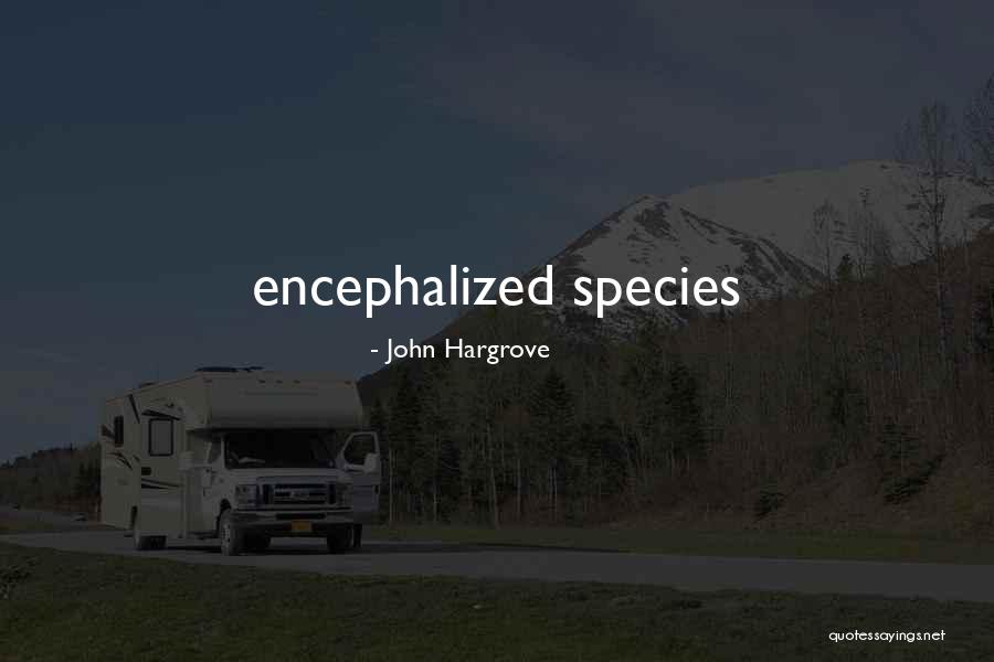Culmine Significado Quotes By John Hargrove Culmine Significado Quotes By John Hargrove