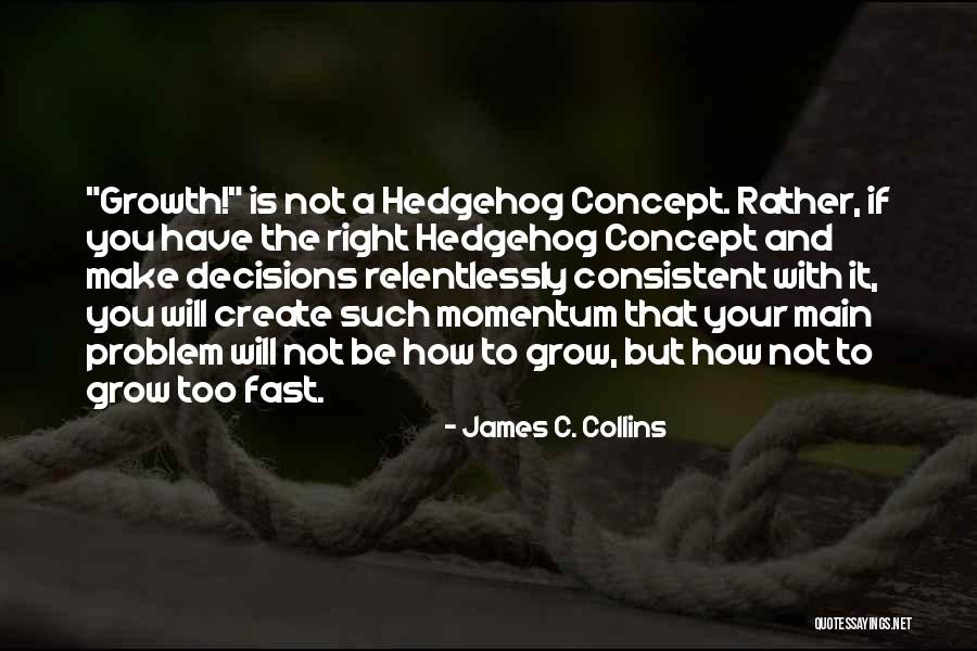 Culorile Primare Quotes By James C. Collins Culorile Primare Quotes By James C. Collins
