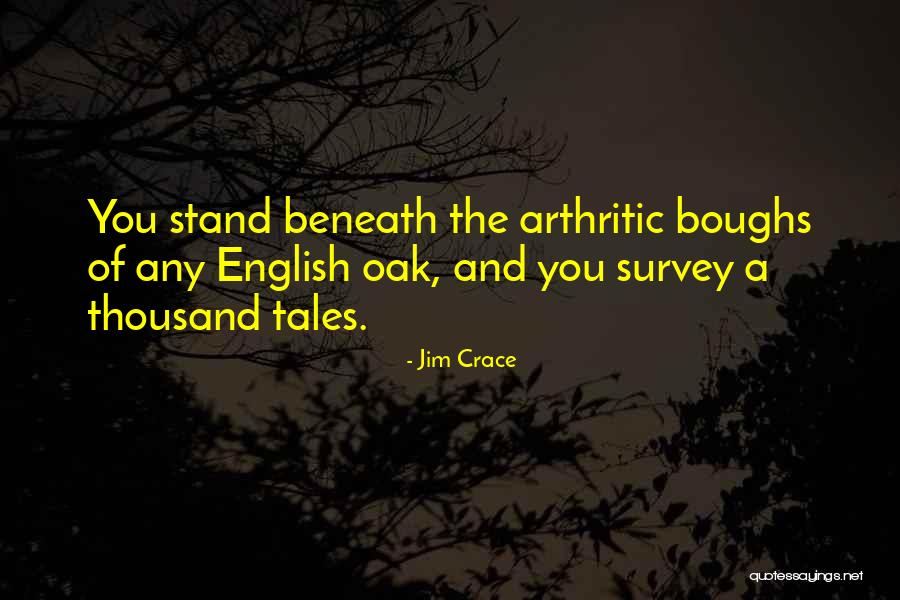Culpability Factors Quotes By Jim Crace Culpability Factors Quotes By Jim Crace