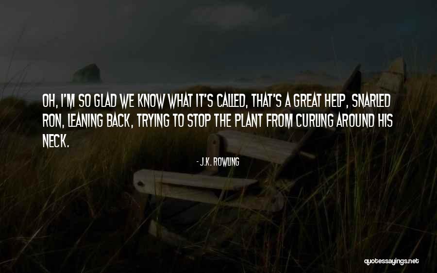 Culpant Quotes By J.K. Rowling Culpant Quotes By J.K. Rowling