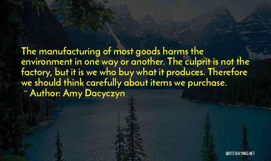 Culprit Quotes By Amy Dacyczyn