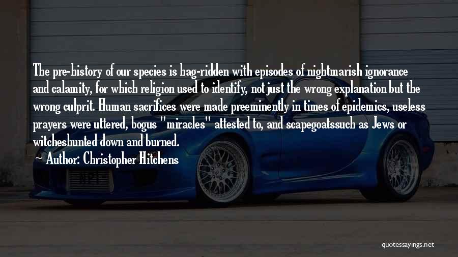 Culprit Quotes By Christopher Hitchens