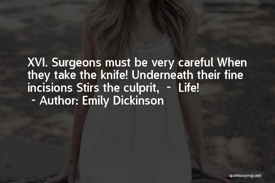 Culprit Quotes By Emily Dickinson