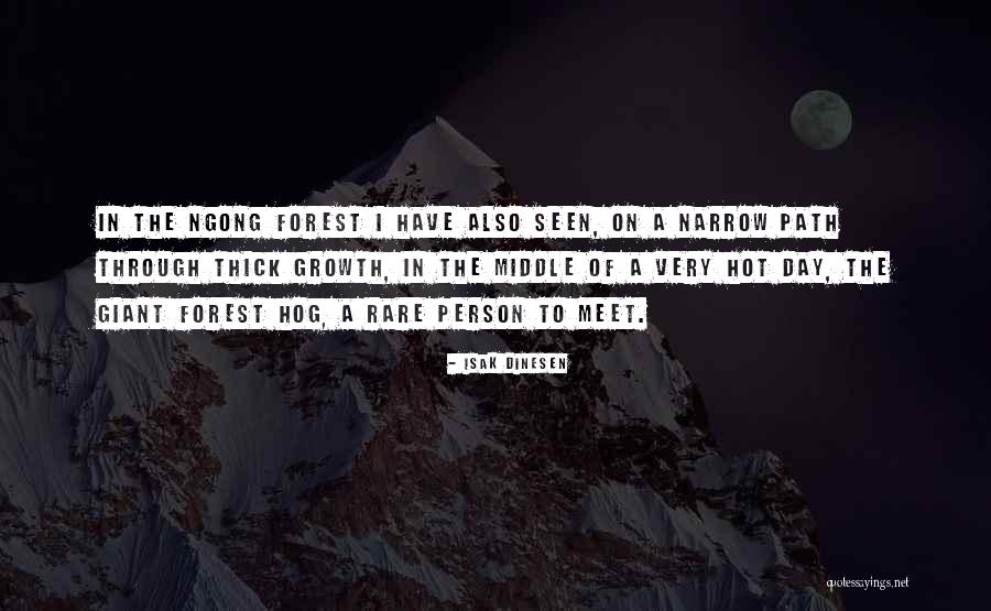 Cult Of Kosmos Quotes By Isak Dinesen Cult Of Kosmos Quotes By Isak Dinesen