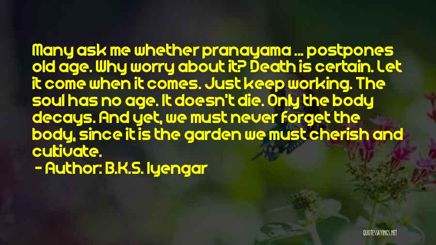 Cultivate Your Garden Quotes By B.K.S. Iyengar