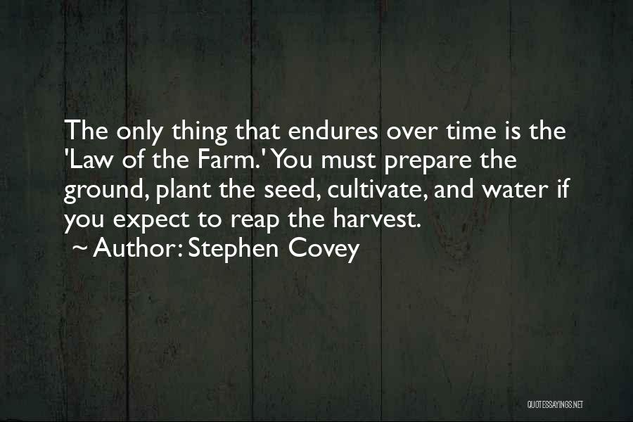 Cultivate Your Garden Quotes By Stephen Covey