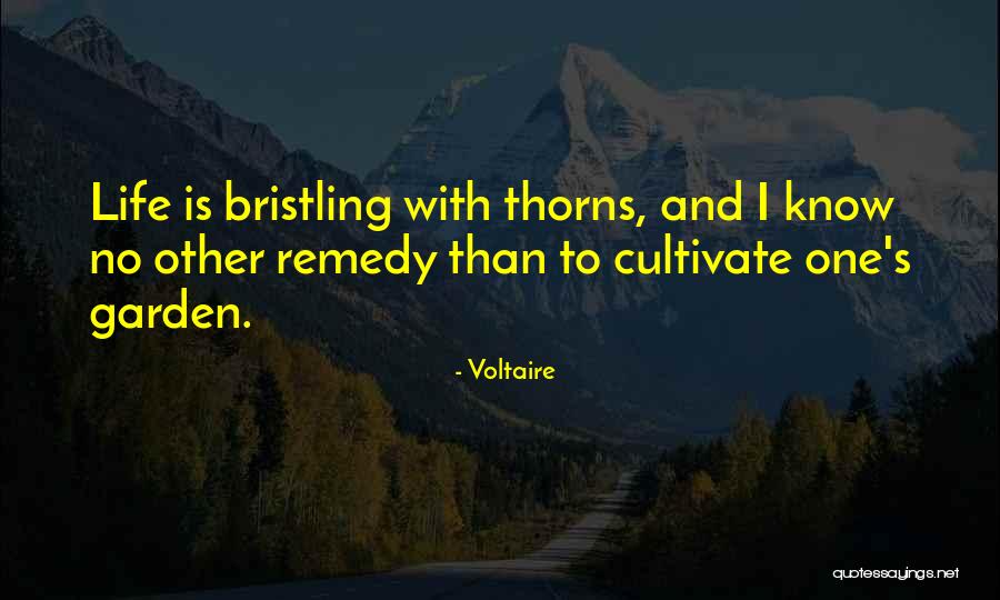 Cultivate Your Garden Quotes By Voltaire