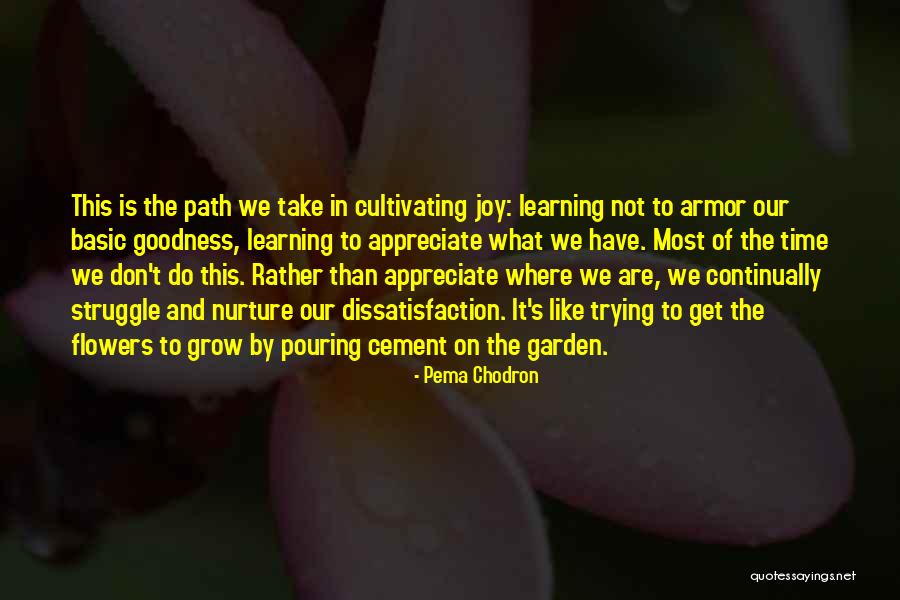 Cultivating Joy Quotes By Pema Chodron Cultivating Joy Quotes By Pema Chodron