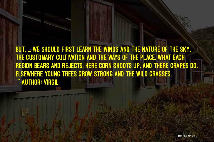 Cultivation Quotes By Virgil
